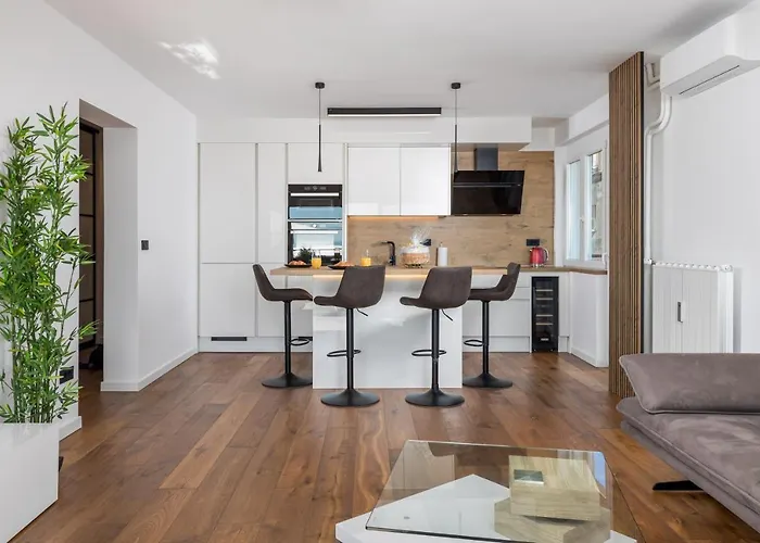 公寓 Aenei Delux 里耶卡