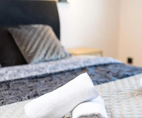 公寓 Aenei Delux 里耶卡