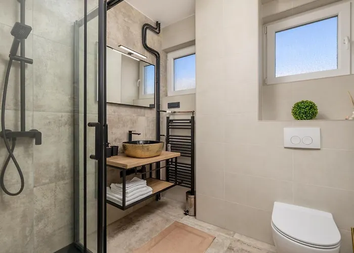 Aenei Delux 里耶卡