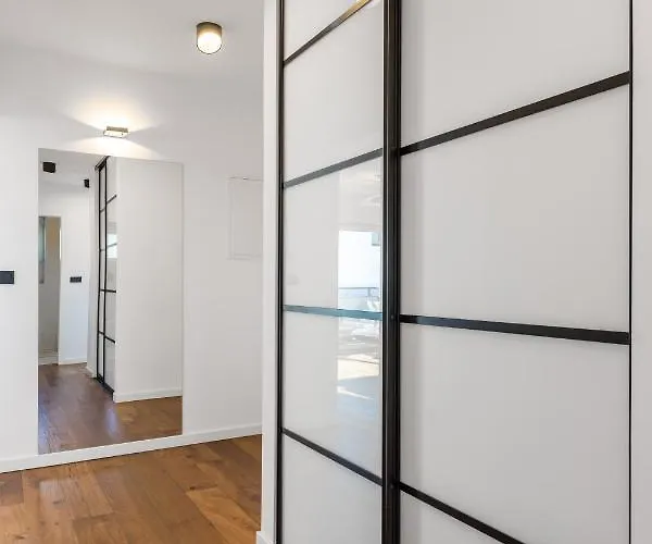 Aenei Delux 里耶卡